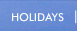 Holidays Button