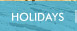 Ken Eyerman Holidays Button